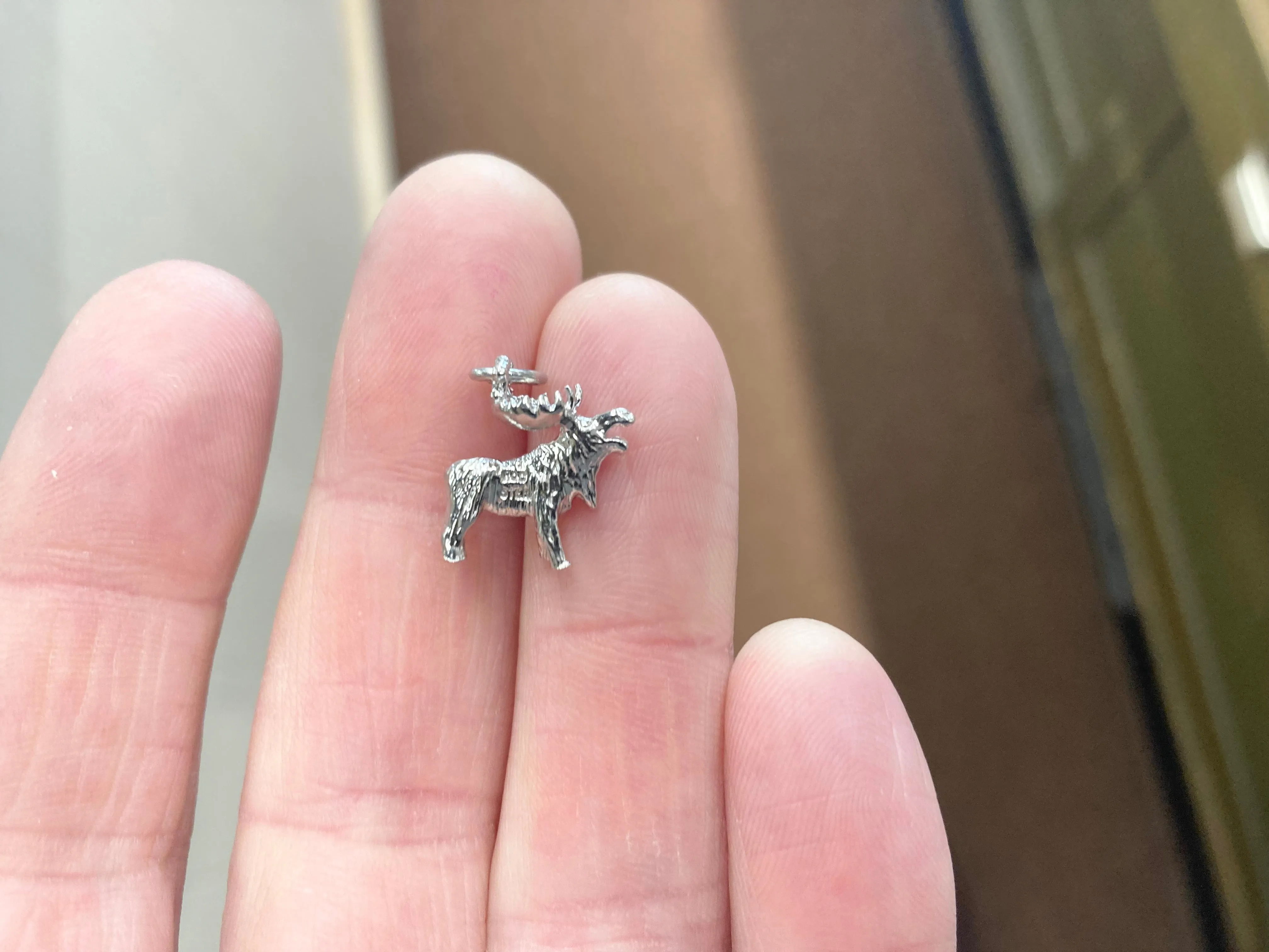 Moose Silver Charm