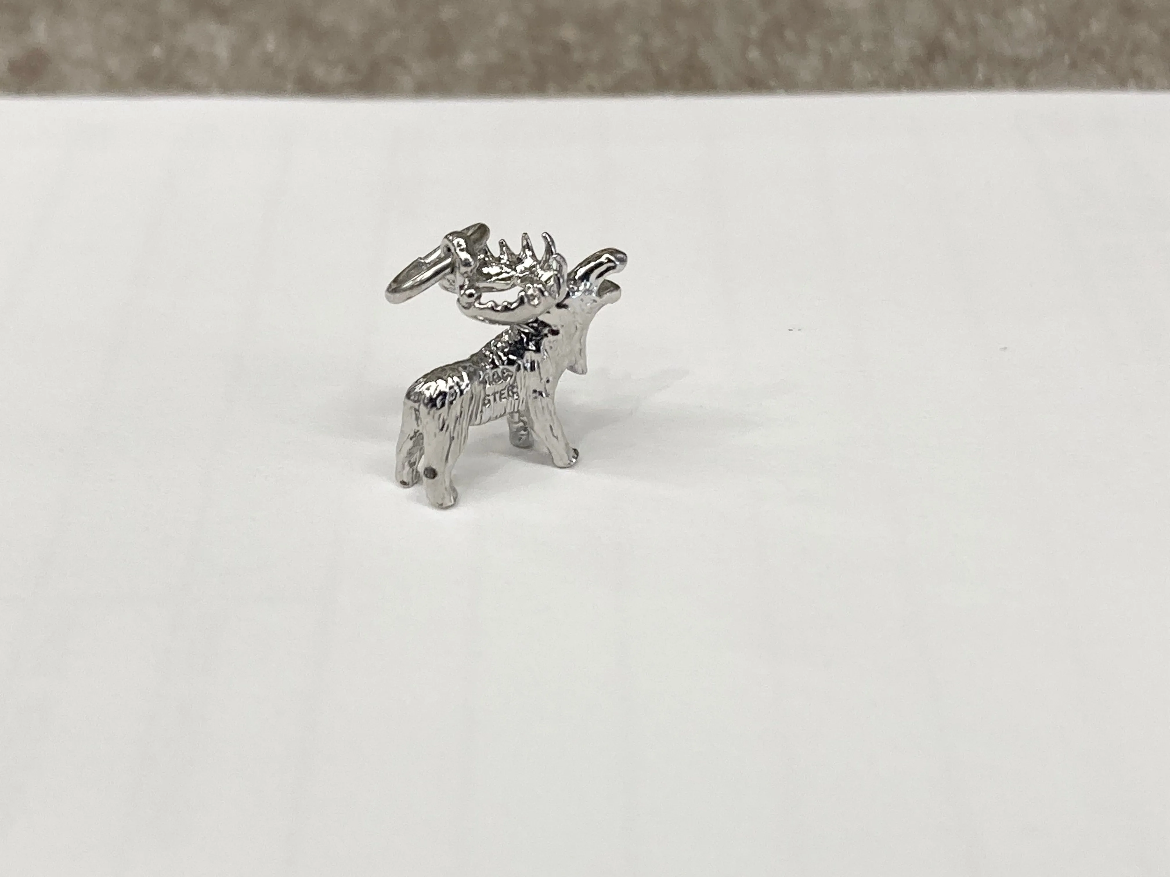 Moose Silver Charm